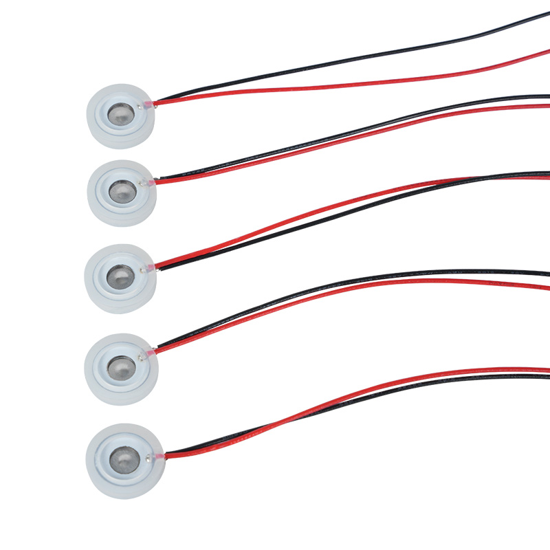 পাইজো অ্যাটোমাইজিং ডিস্ক Φ13.8 মিমি অ্যারোমা ডিফিউজার বিউটি হিটার হিউমিডিফায়ার মাইক্রো মেশ অ্যাটোমাইজিং ডিস্ক