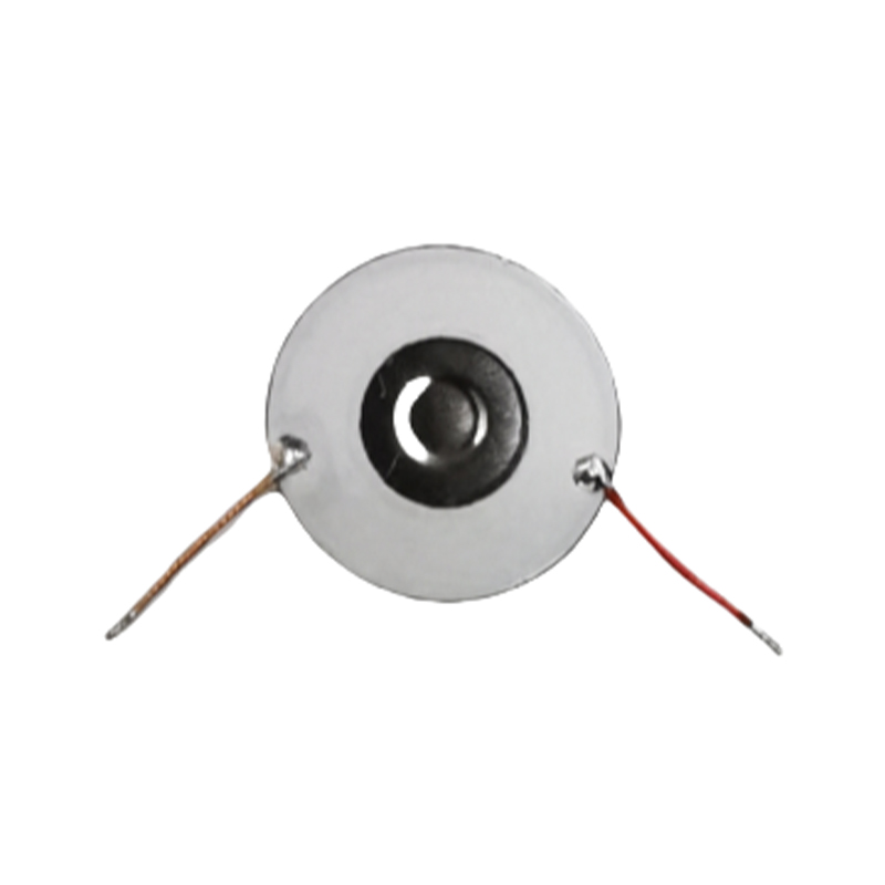 10 মিমি নেবুলাইজার ট্যাবলেটস নাসাল ওয়াশ স্পেশাল ময়েশ্চারাইজার মাউথ স্প্রে হিউমিডিফায়ার নেবুলাইজার স্পেশাল স্প্রে ট্যাবলেট কম শক্তি খরচ স্টেইনলেস স্টিল মাইক্রো মেশ নেবুলাইজার ডিস্ক