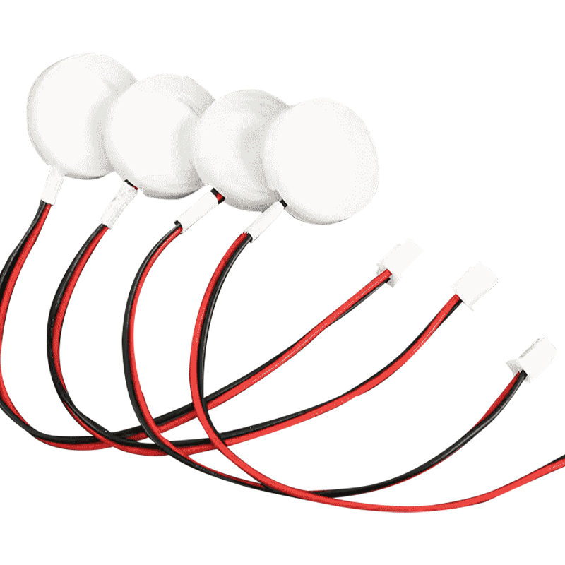 16mm3mhz উচ্চ-ফ্রিকোয়েন্সি পাইজোইলেকট্রিক সিরামিক চিপ অ্যারোমাথেরাপি এসেনশিয়াল অয়েল অ্যাটোমাইজার আল্ট্রাসনিক অ্যাটোমাইজার চিপ ছোট শক্তি 5w ড্রাইভার বোর্ড সুগন্ধযুক্ত ছোট আকারের অ্যাটোমাইজার চিপ Dc5-24v ড্রাইভার