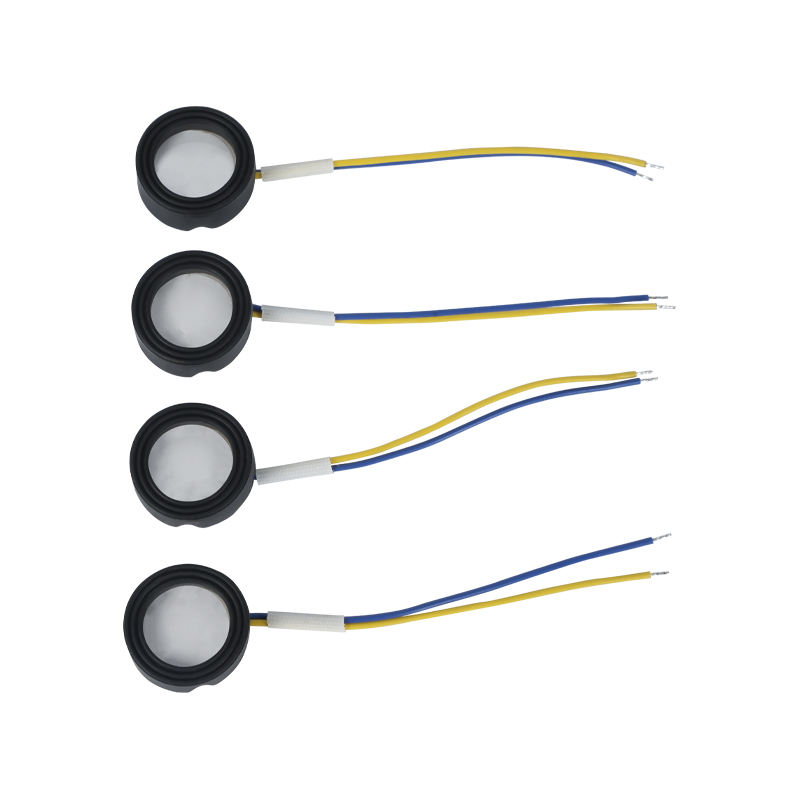 25mm1.7mhz অতিস্বনক উচ্চ-ফ্রিকোয়েন্সি অ্যাটোমাইজেশন ফুটবাথ উইগওয়াম ক্লাউড মিস্ট ল্যান্ডস্কেপিং অ্যাটোমাইজেশনের বড় পরিমাণ পাইজোইলেকট্রিক সিরামিক ট্রান্সডুসার অসিলেটিং অ্যাটোমাইজার হাই পাওয়ার 220v36w