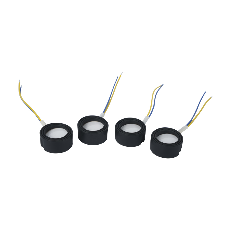 25mm1.7mhz অতিস্বনক উচ্চ-ফ্রিকোয়েন্সি অ্যাটোমাইজেশন ফুটবাথ উইগওয়াম ক্লাউড মিস্ট ল্যান্ডস্কেপিং অ্যাটোমাইজেশনের বড় পরিমাণ পাইজোইলেকট্রিক সিরামিক ট্রান্সডুসার অসিলেটিং অ্যাটোমাইজার হাই পাওয়ার 220v36w