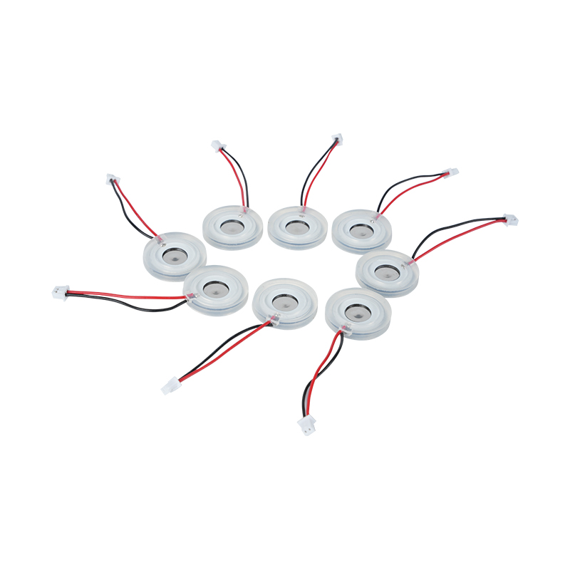 Φ16 মিমি মাইক্রোপোরাস ফগিং প্লেট পাইজোইলেকট্রিক সিরামিক বড় কুয়াশা ভলিউম হিটার ফগিং প্লেট ডিফিউজার স্প্রে হোল প্লেট মেশ ফগিং প্লেট