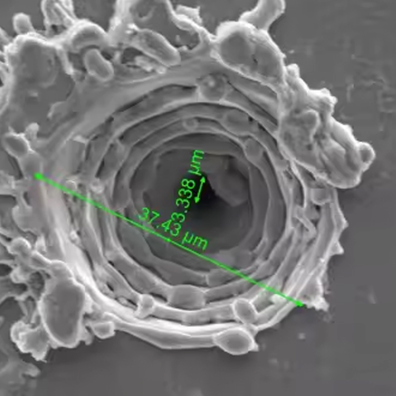 যথার্থ লেজার মাইক্রোভিয়াস