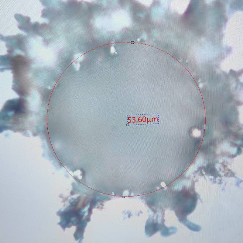 যথার্থ লেজার মাইক্রোভিয়াস